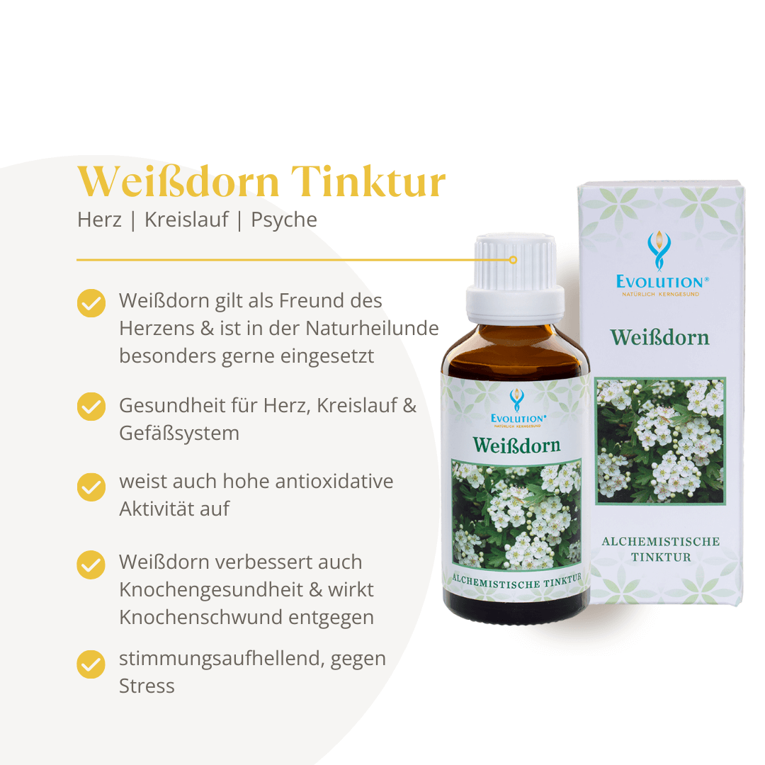 Weißdorn Tinktur – Bild 3