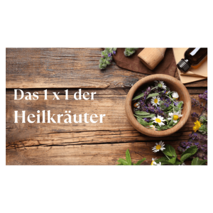 Basis-Wissen: Das 1 x 1 der Heilkräuterkunde