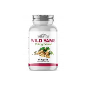 Wild Yams – Dioscorea opposita (Yamswurzel) Extrakt