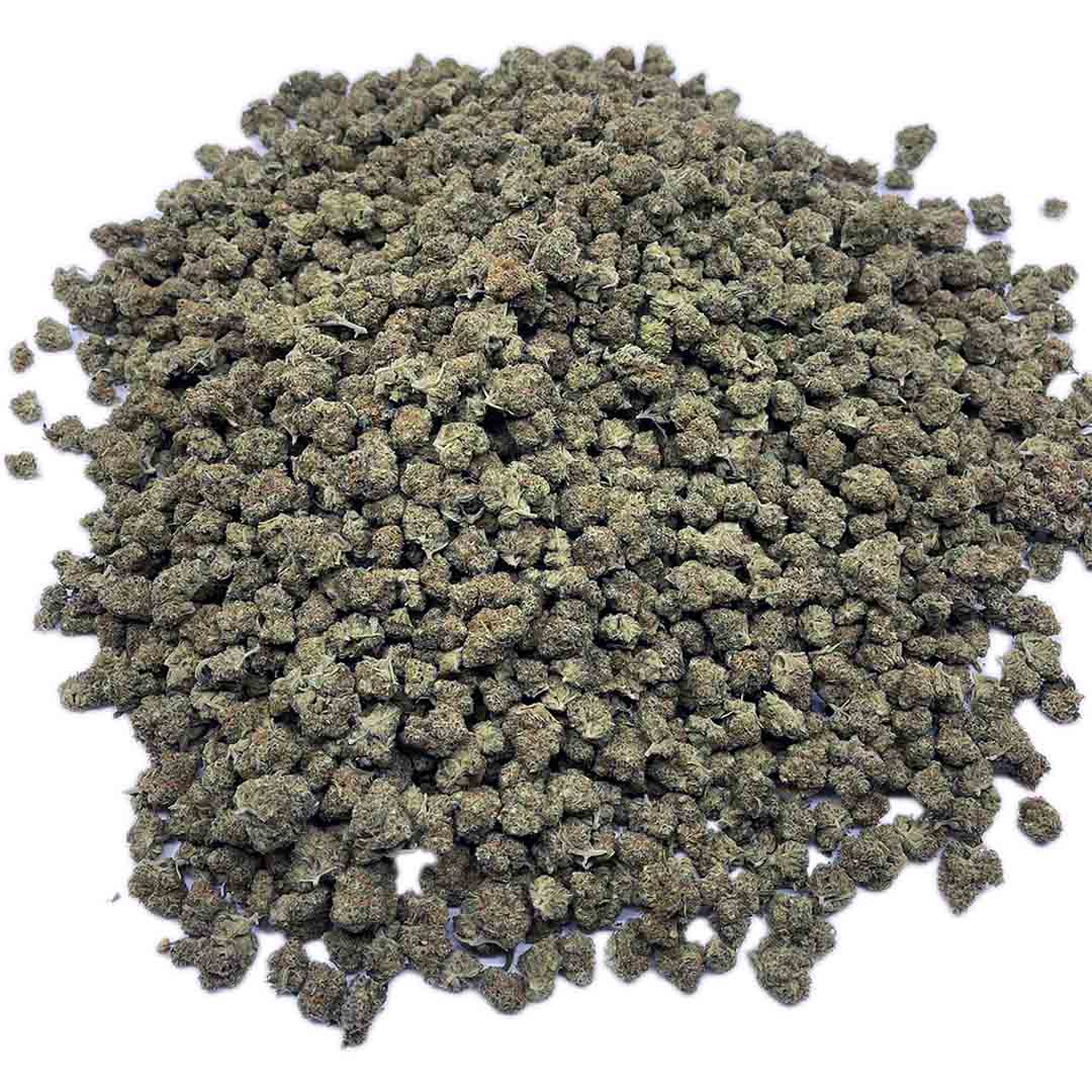 Blueberry Muffin Indoor Mini Buds Grossgebinde