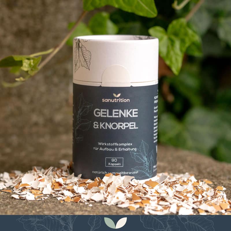 Gelenke & Knorpel – Bild 3