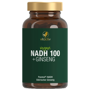 NADH PANMOL 100 mit Ginseng 60 Kapseln