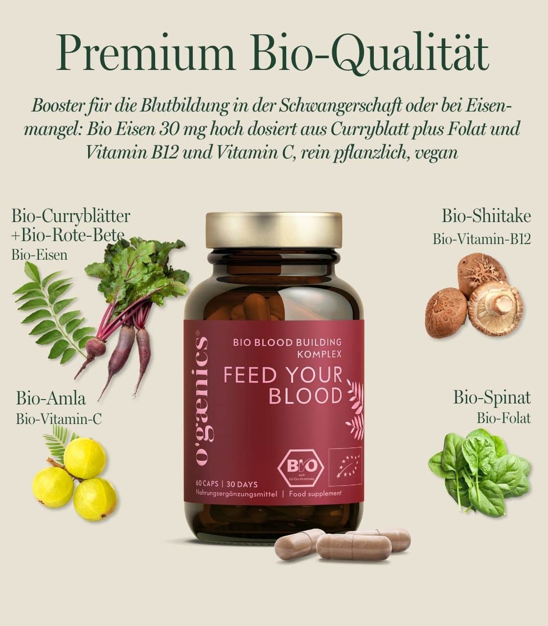 Feed Your Blood – Bild 4