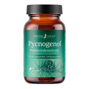 Pycnogenol® – Pinienrindenextrakt 60 Kapseln