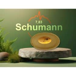 <strong>Schumann 7,83</strong> Bodyguard soft