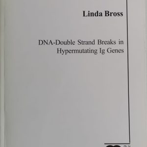 DNA-Double Strand Breaks in Hypermutating lg Genes