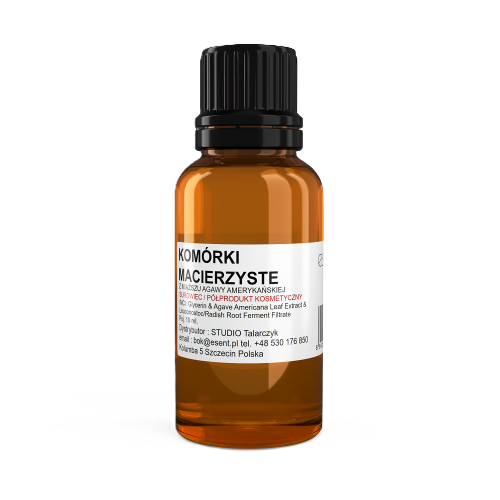 STAMMZELLEN AUS AMERIKANISCHER AGAVE (FSS Phyto-Biotics Agave) – Bild 2