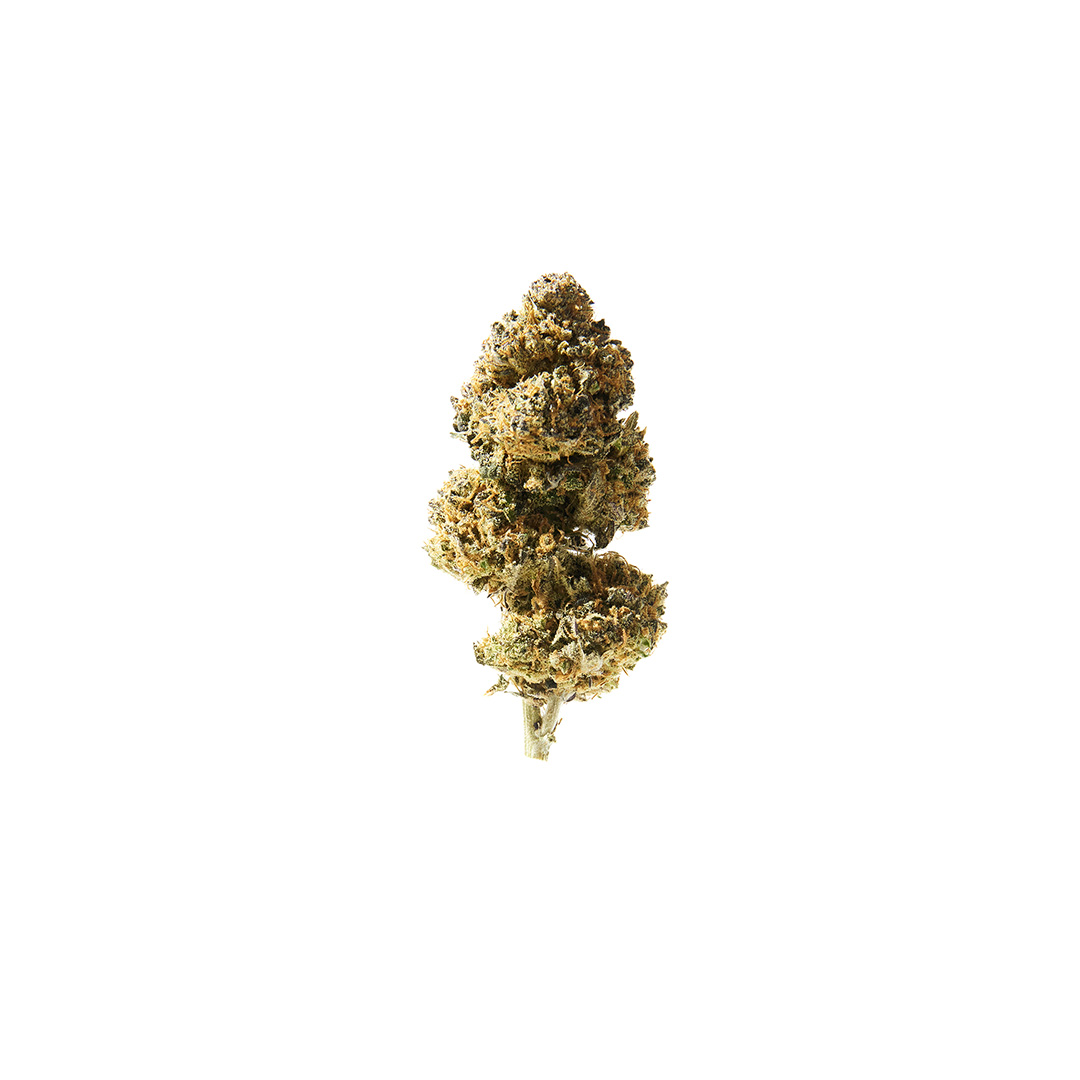 Purple Punch Indoor – Bild 5