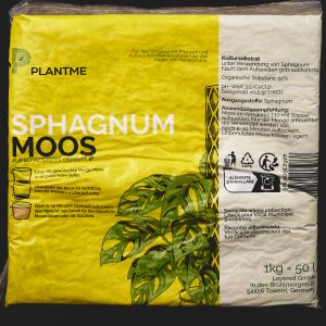 Sphagnum-Moos aus Chile