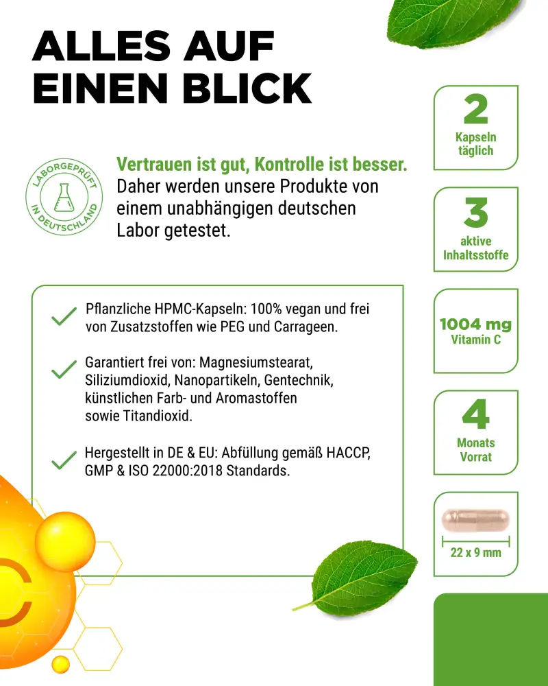 Vit4ever Vitamin C Liposomal Komplex – 240 Kapseln – Bild 6