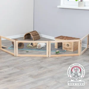 Indoor Freilaufgehege, Meerschweinchen